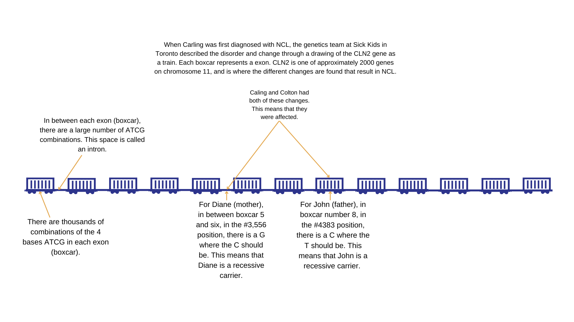 When Carling was fist diagnosed with NCL, the doctors at Sick Kids in Toronto described the disorder and chnage through a drawing of the DNA as a train.